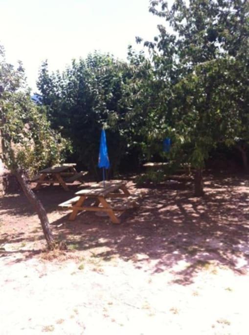 פיאנה Appartement Dans Maison De Village מראה חיצוני תמונה